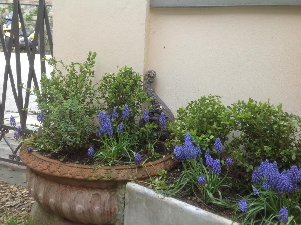 Al Giardino Delle Rose Hotel Florence Exterior photo